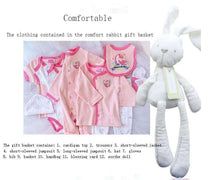 Load image into Gallery viewer, New Baby Gift Basket-Girl Rabbit/Unicorn
